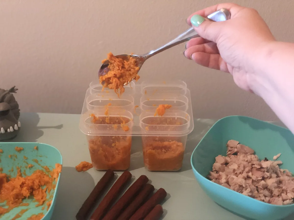a spoon fills popsicle molds with mashed sweet potato to make frozen dog treats with