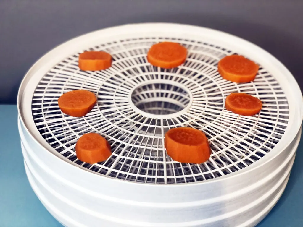 round slices of dark orange roast sweet potato arranged on a white plastic countertop dehydrator tray