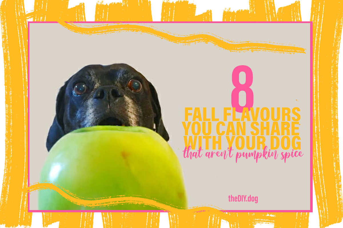 Fall Flavors You Can Share With Your Dog That Aren’t Pumpkin Spice