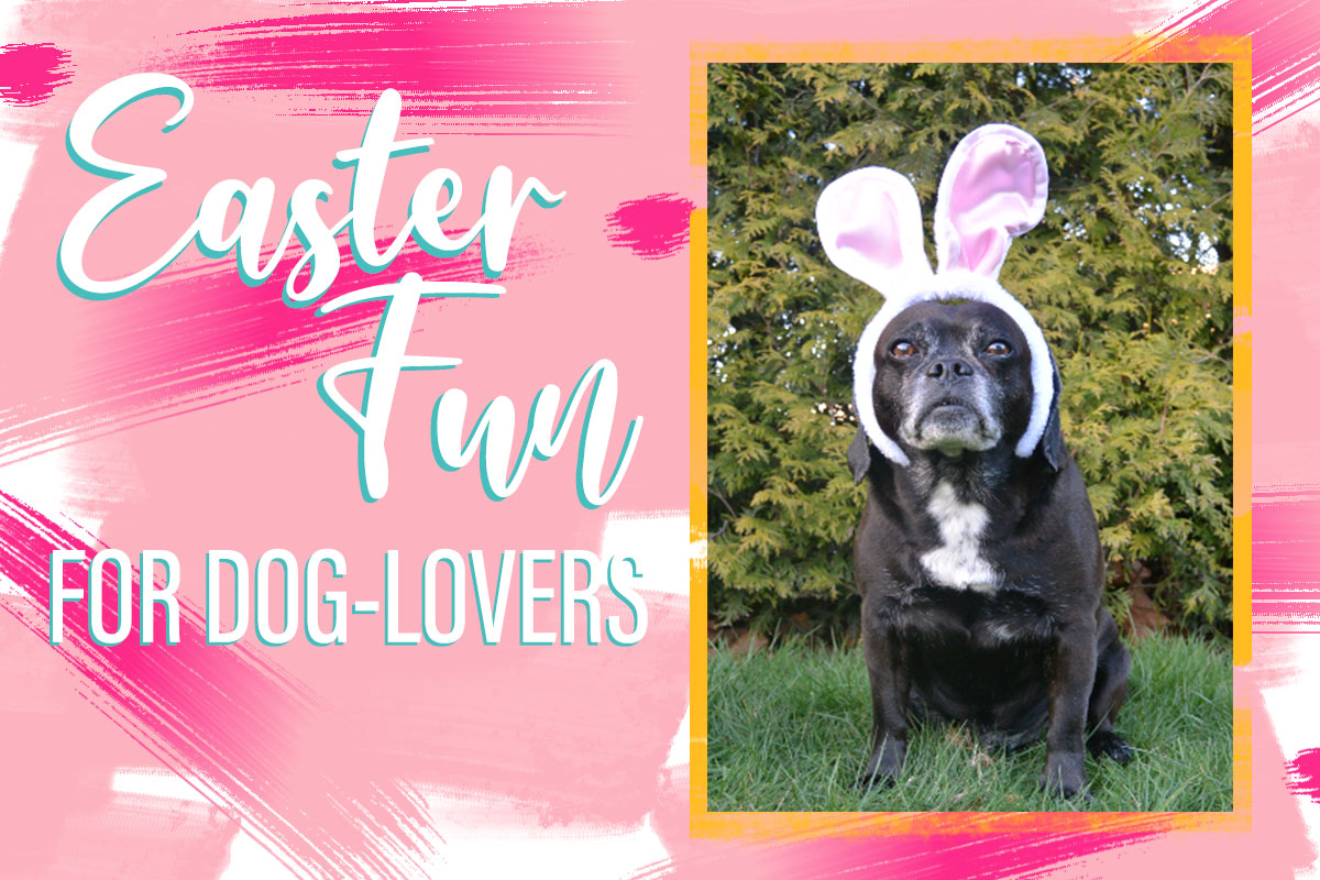 Easter Fun for Dog Lovers