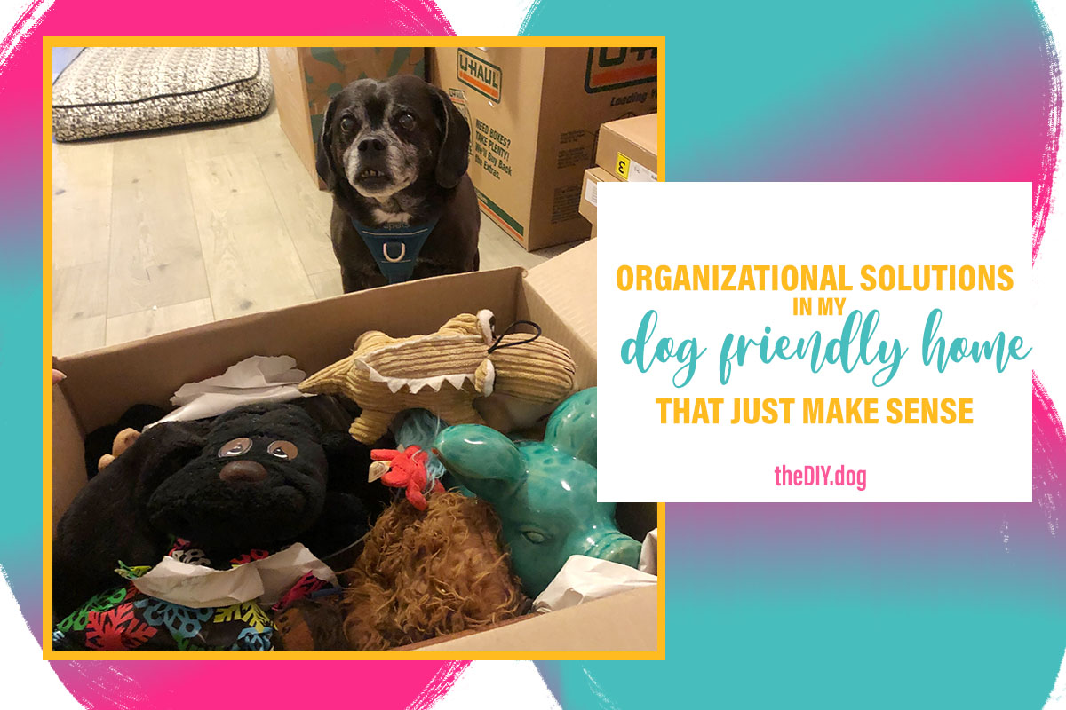 Organization Solutions in My Dog-Friendly Home that Just Make Sense