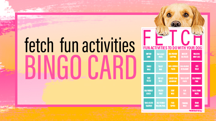 Plan a More Enriching Year for Your Dog with Fetch  Fun Activities BINGO Card
