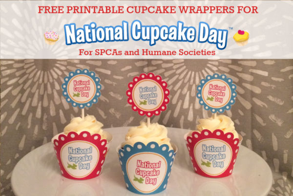 Cupcakes and Cute Dogs: National Cupcake Day is Coming!