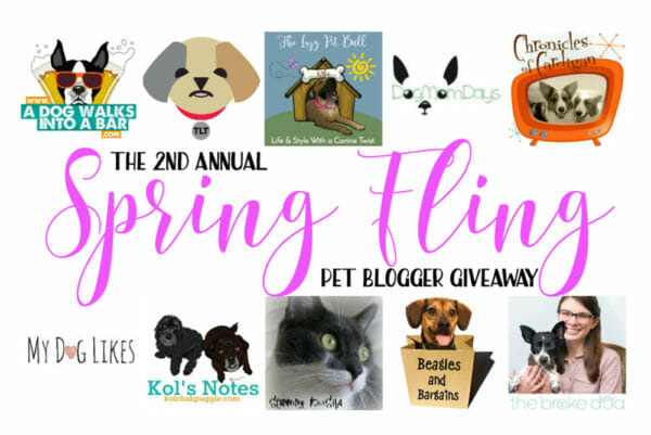 Cure Spring Fever by Winning the Spring Fling Pet Giveaway