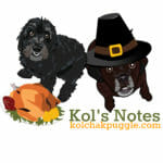 kf-thanksgiving-profile-pic
