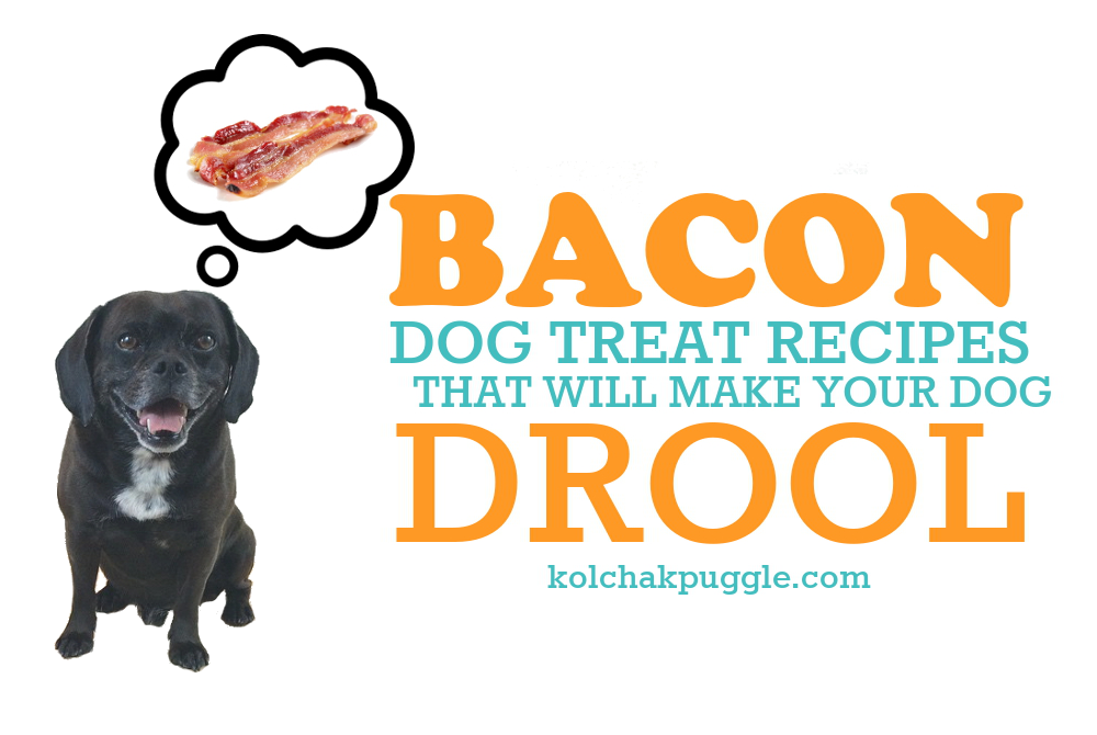 homemade bacon dog treat recipe