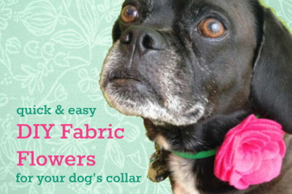 24 Fabric Flowers to Brighten Up Your Dog’s Collar