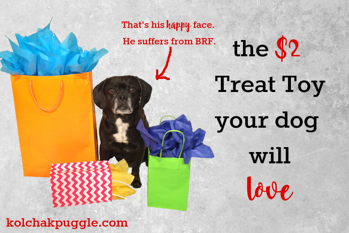 Cheap & Easy DIY Dog Treat Toy: the Gift Bag Edition