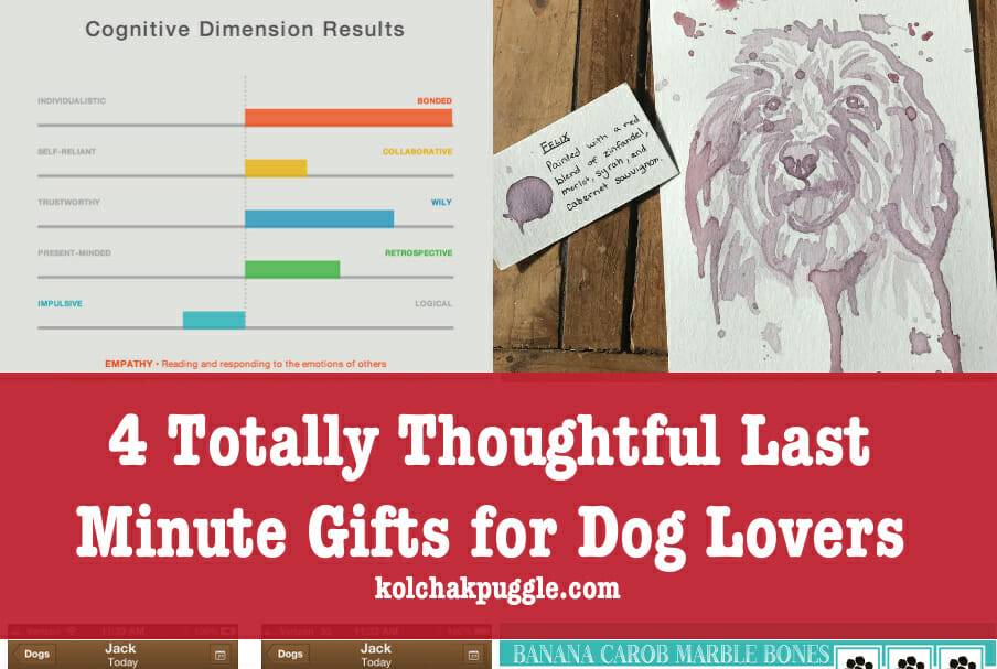 4 Thoughtful Last Minutes Gifts for Dog Lovers (That Don’t Make It Look Like You Forgot)